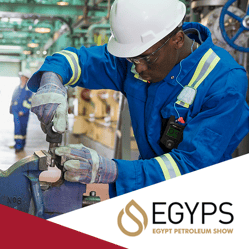 EGYPS Miniatuurafbeelding