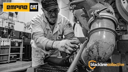 Empire Cat-Blackline Collectief beeld