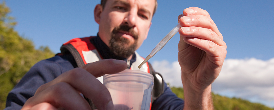 Blogafbeeldingen - milieu