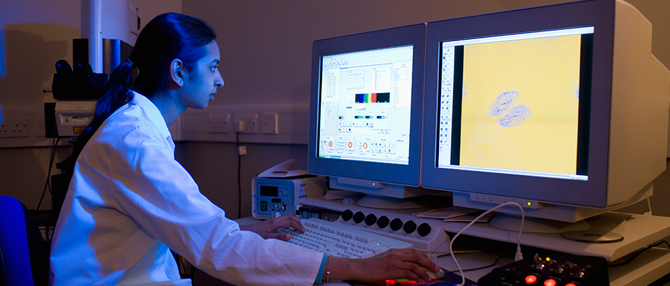 Blogafbeeldingen--labs3
