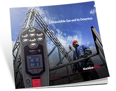 miniatuur van witboek