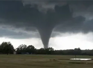 miniatuur van witboek